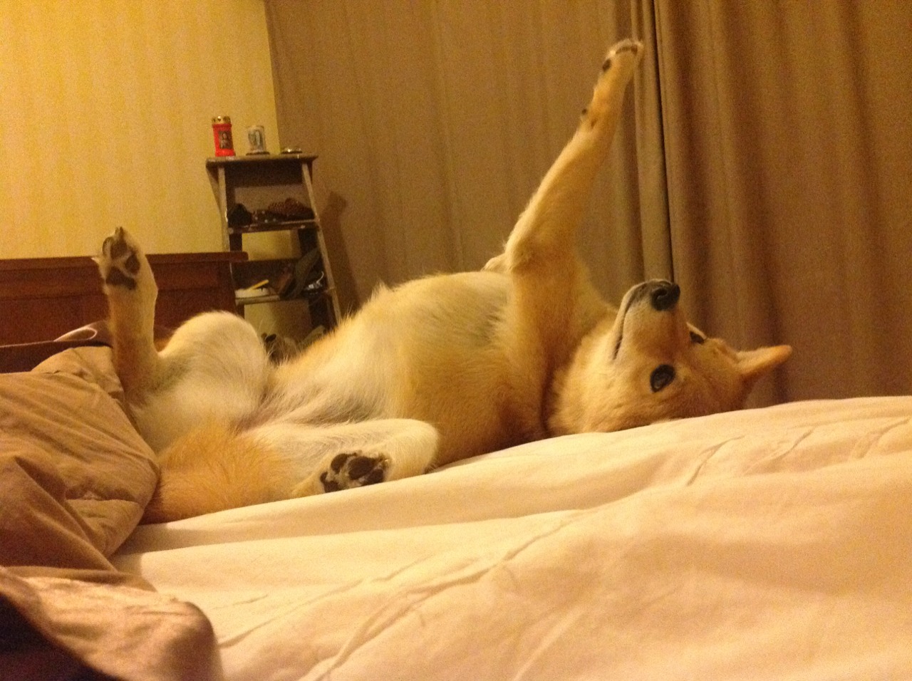 汉江奇迹映照安菲尔德,孙兴慜绝杀如何成为亚洲足球的里程碑