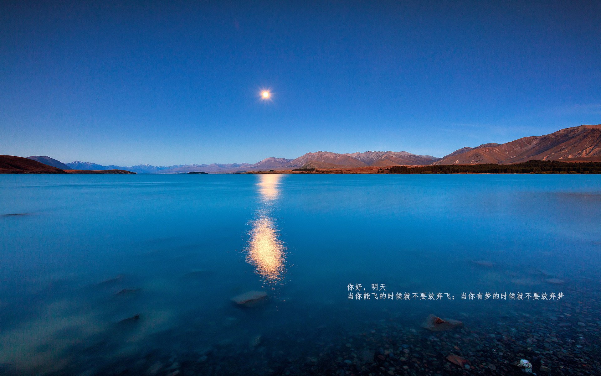 福登惊艳,乌军逆袭,当个人才华遭遇钢铁洪流,足球写下新寓言