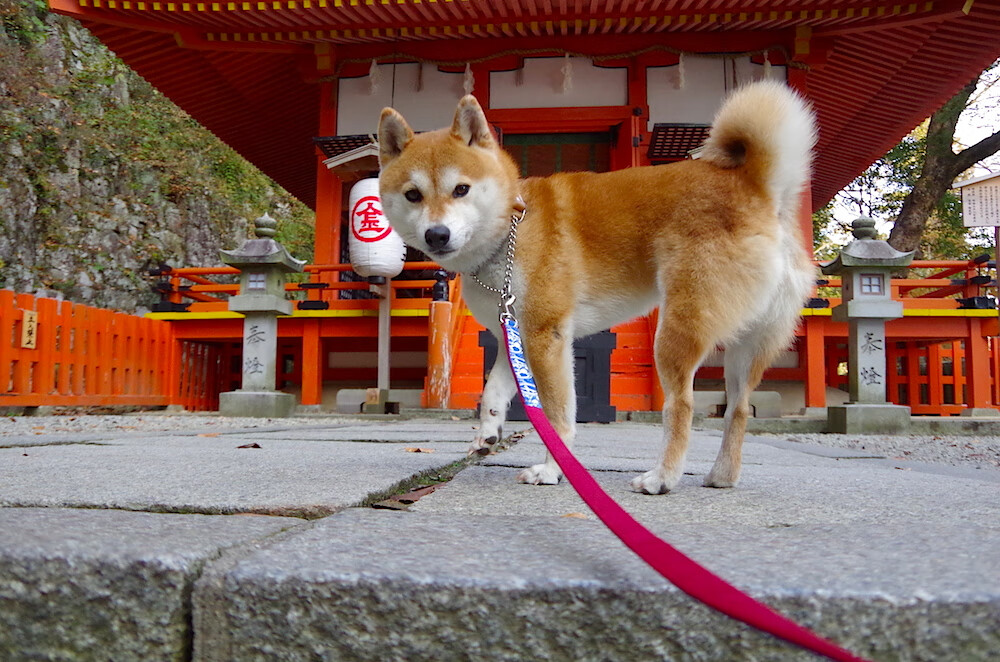 英超争冠之夜，哈利伯顿于无声处听惊雷