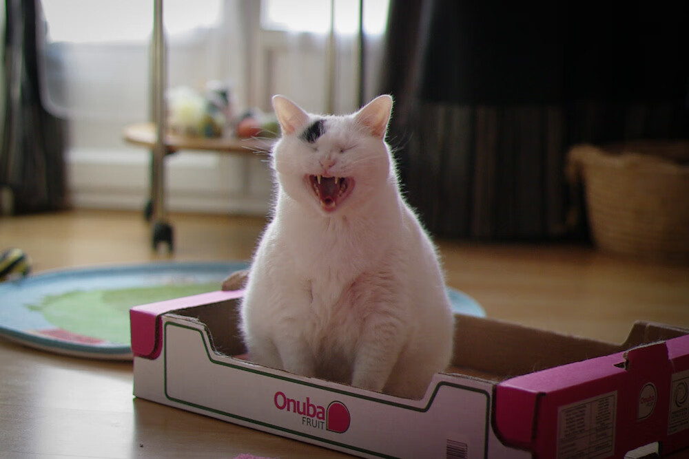 当詹姆斯在数据簿写诗,山西队正把太阳缝进篮筐