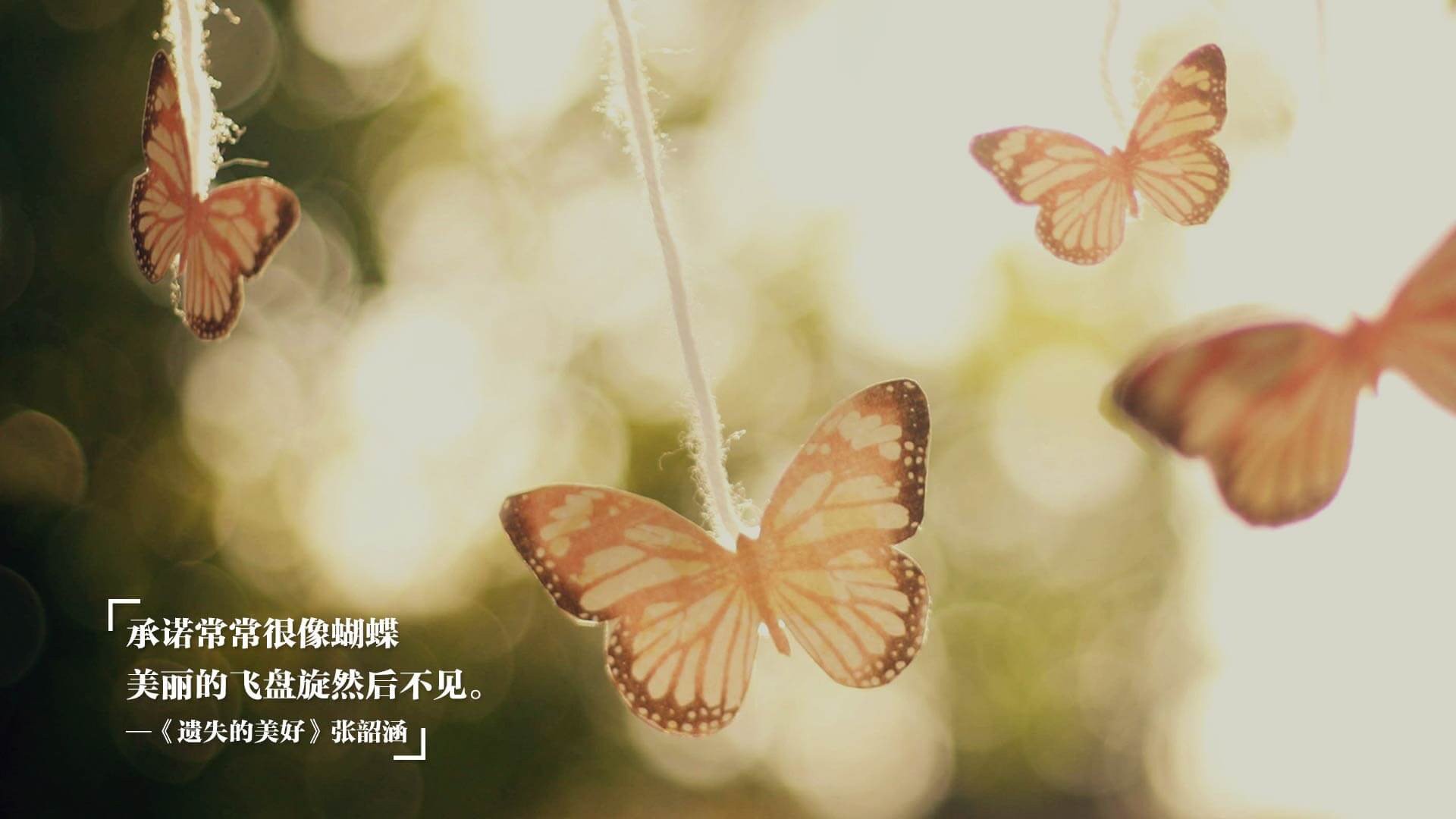 金色獠牙与红色风暴,一场定义现代足球的终极对决