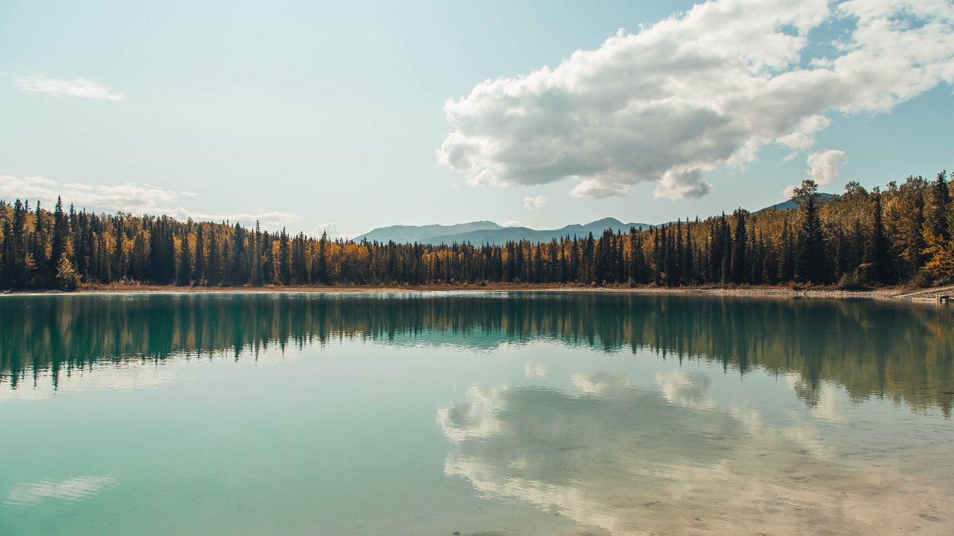 爱游戏官方入口-暗夜对决，英格拉姆的统治交响曲