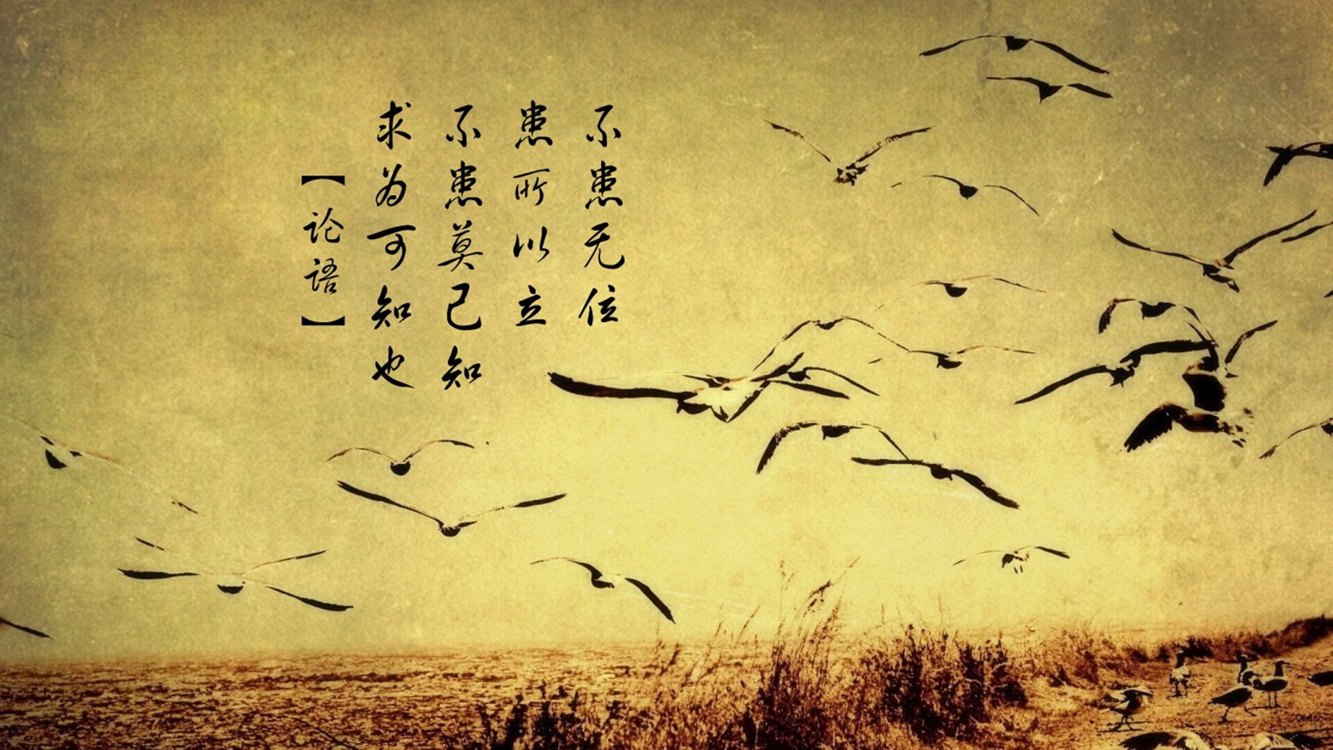 爱游戏官方入口-穹顶之下，浓眉独臂擎天