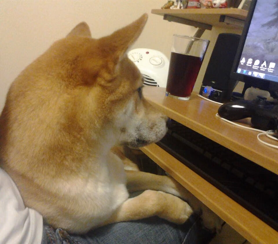 爱游戏体育-双城记，当罗马球迷制霸雷恩街头，维尼修斯在伯纳乌加冕关键先生