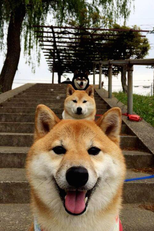 双城记,尼斯海岸的绝地反击与慕尼黑夜空的生命之舞