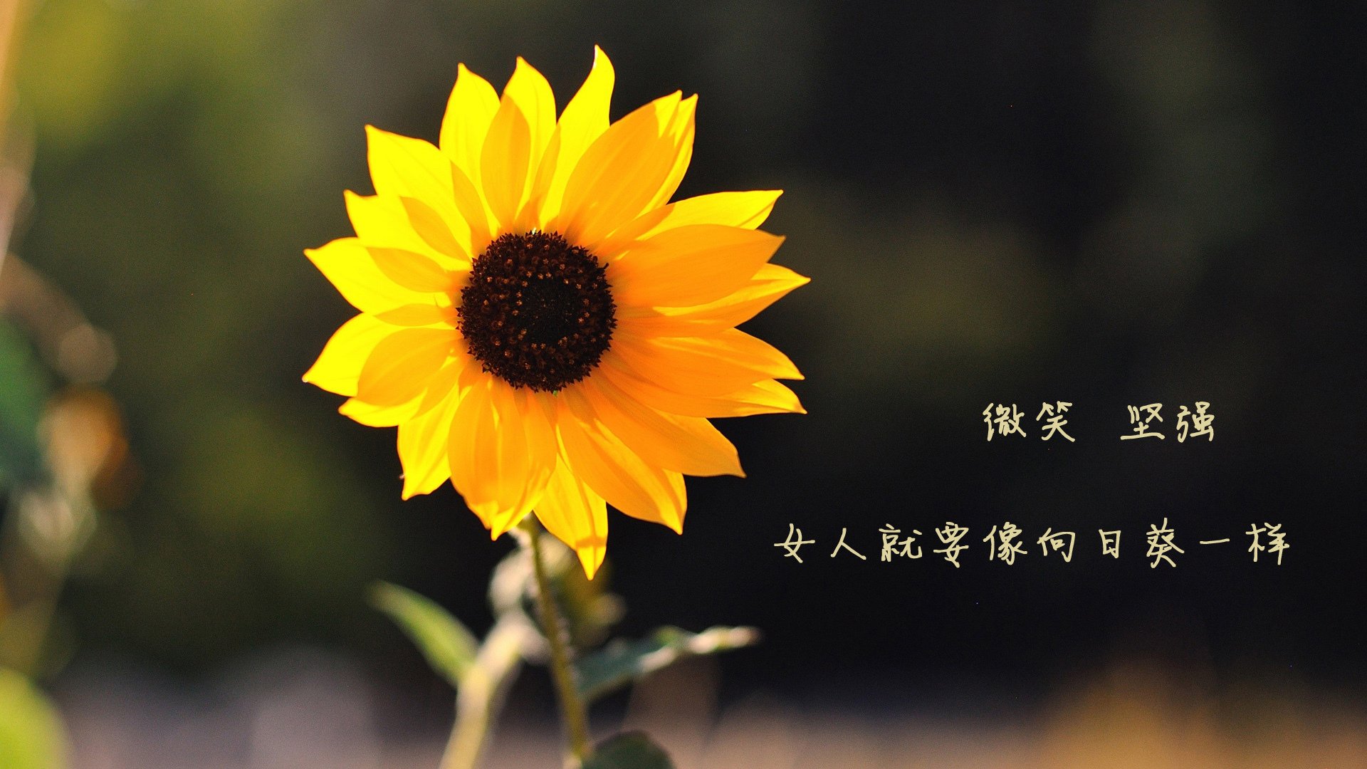 新罗马的黄昏，姆巴佩如何成为日本压迫足球下的关键破局者