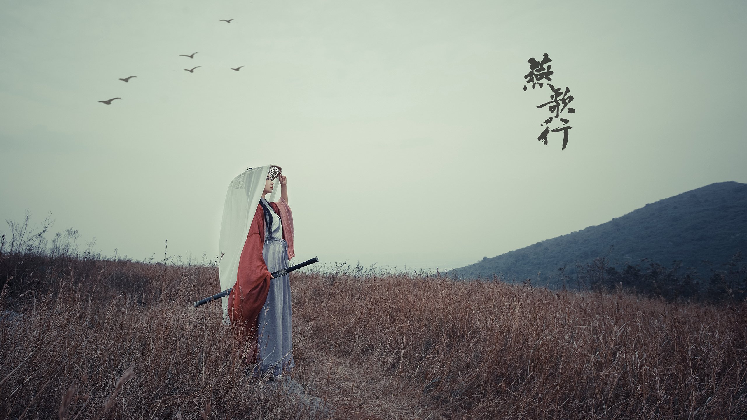 当霍勒迪遇见霍勒迪，广厦奇兵，在NBA的地板上刻下自己的名字