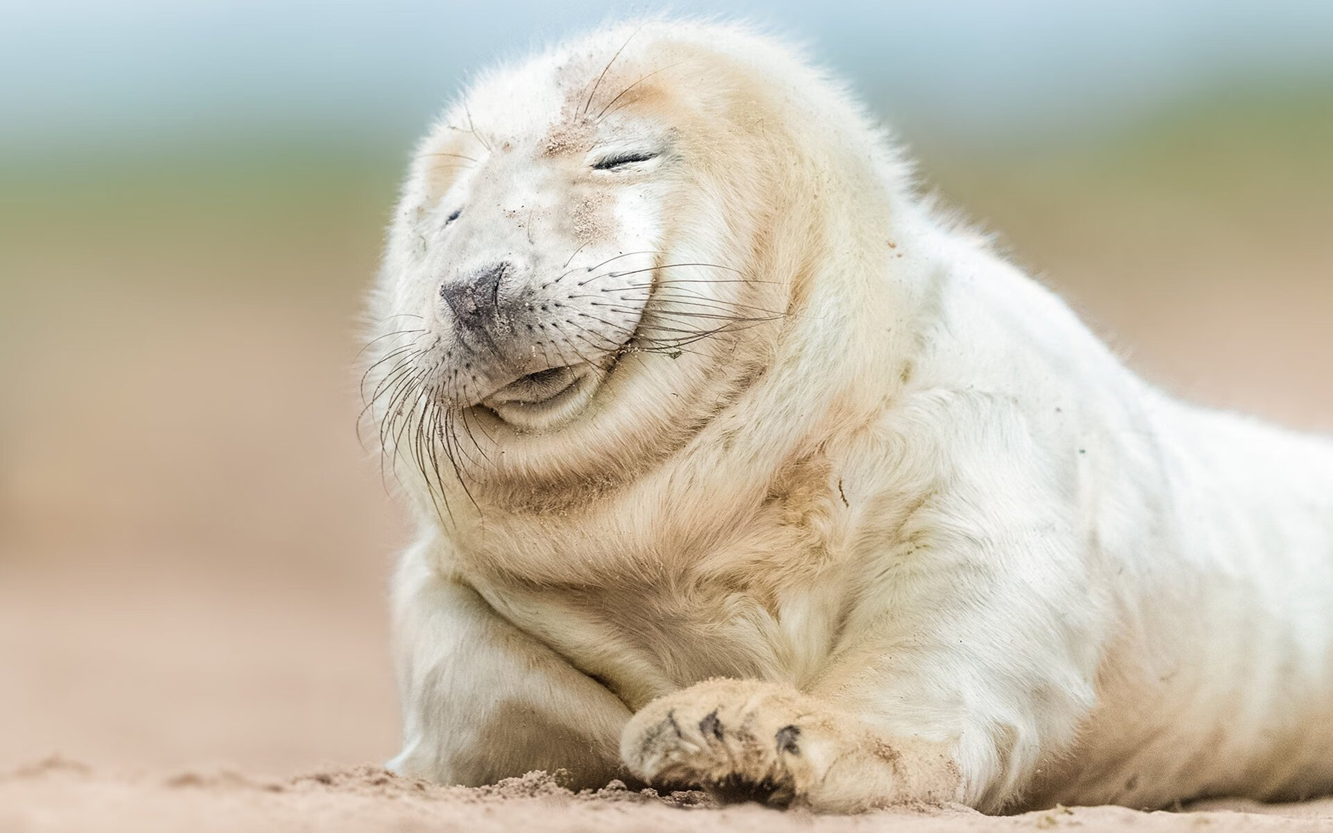 赛道与球场的交响,灰熊以F1街道赛的终极速度终结开拓者