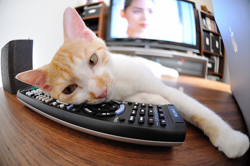 爱游戏入口-黎明破晓时，一座体育场的胜利与另一座不朽的纪念碑