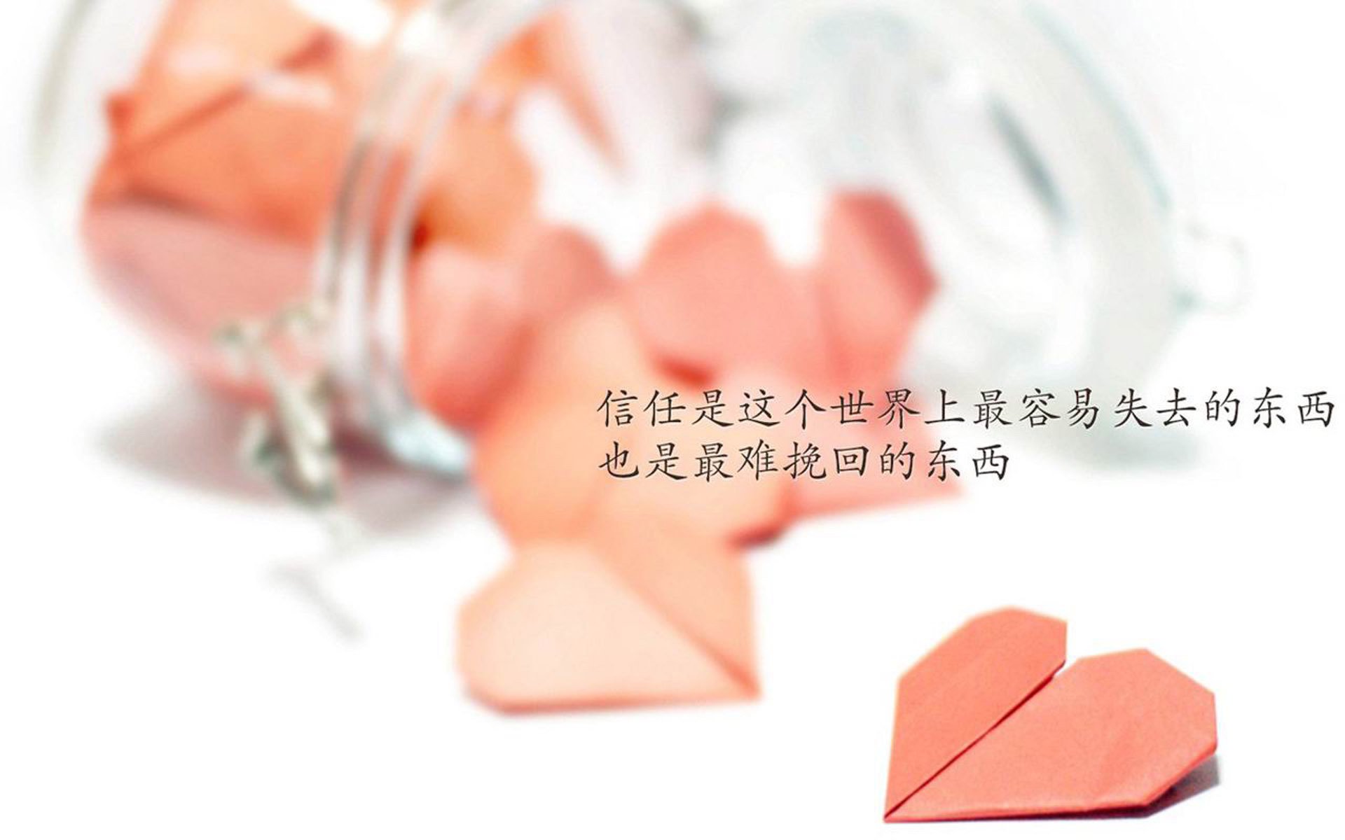孤星耀世,2026世界杯,英格兰以节奏之名力克加纳,苏亚雷斯演绎大师级掌控