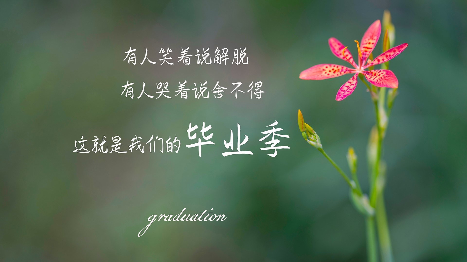 爱游戏下载-卡萨布兰卡之夜，摩洛哥铁骑踏碎南美荣光，佩德里星耀2026世界杯八分之一战场